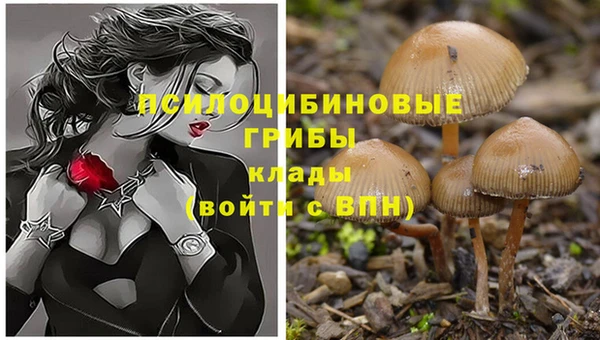 амфетамин Богданович