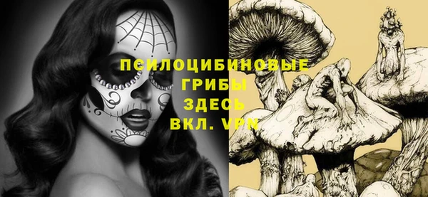 амфетамин Богданович