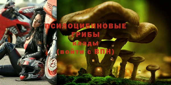 амфетамин Богданович