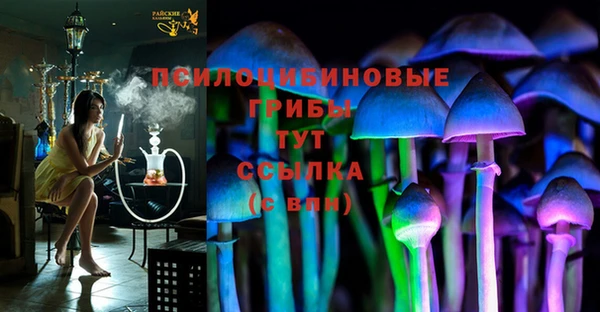 мет Богородицк